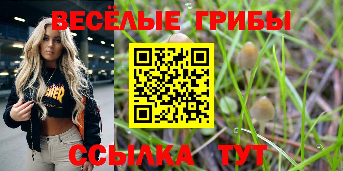 Галлюциногенные грибы Magic Shrooms  Вход с VPN  Вышний Волочёк 